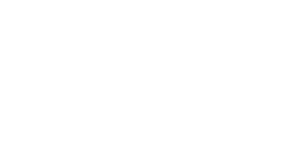 RS Laser